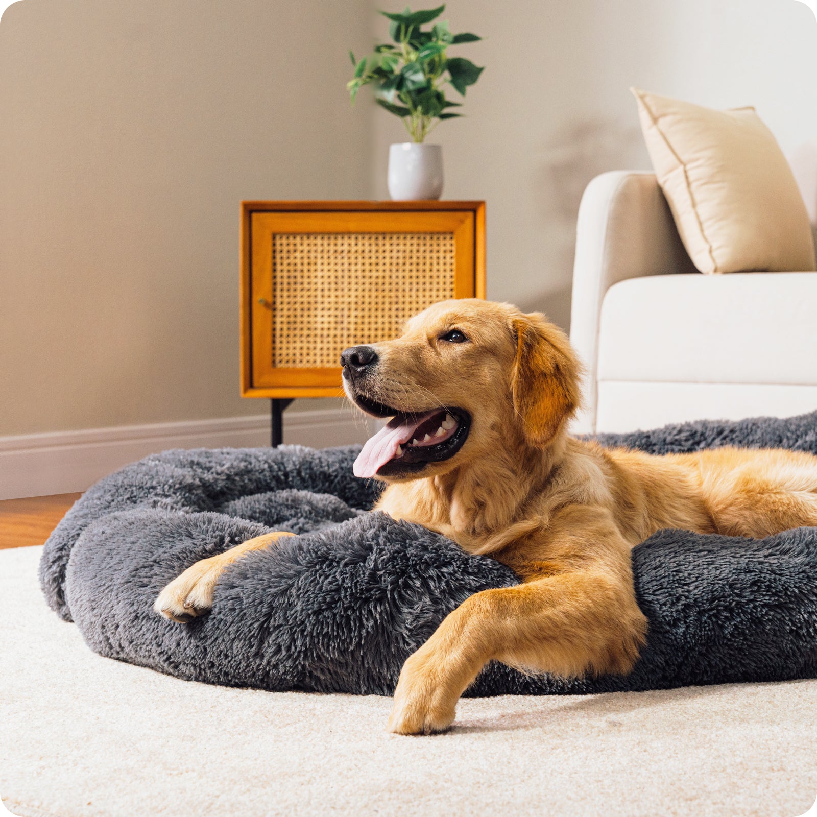 Large Sized Fluffy Cat & Dog Bed